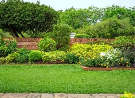 landscaping services Campbellsville